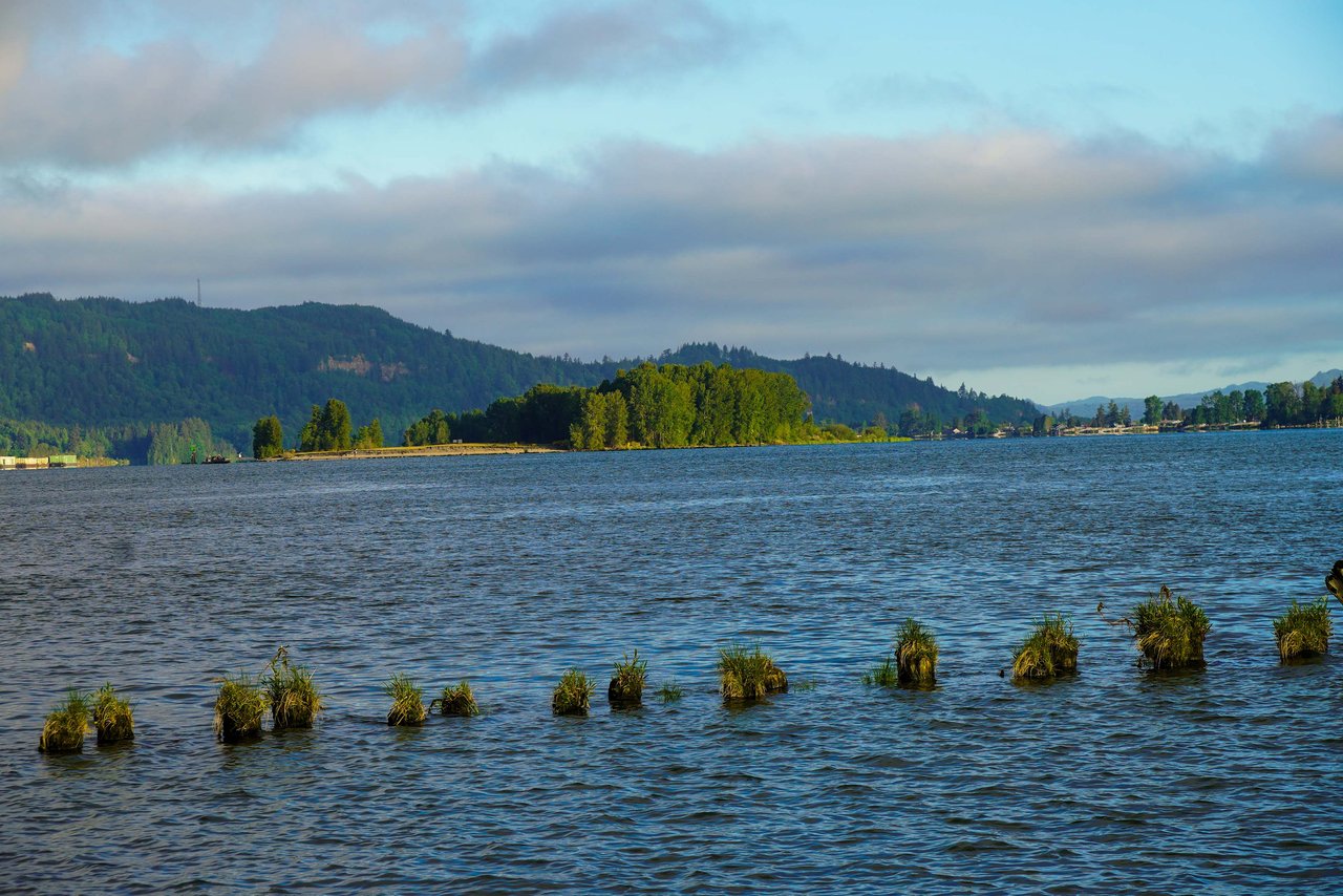 Coyote Point 