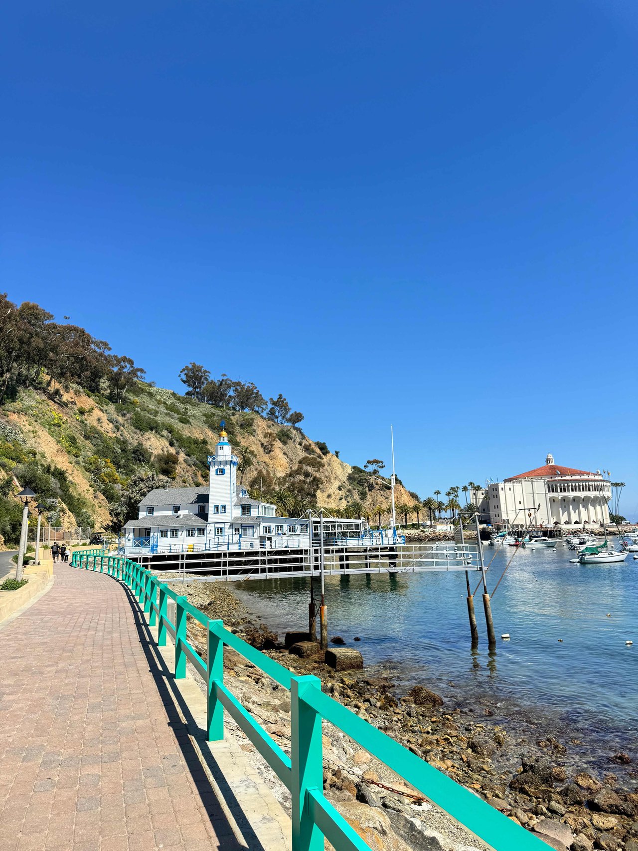 A Day Trip to Catalina Island