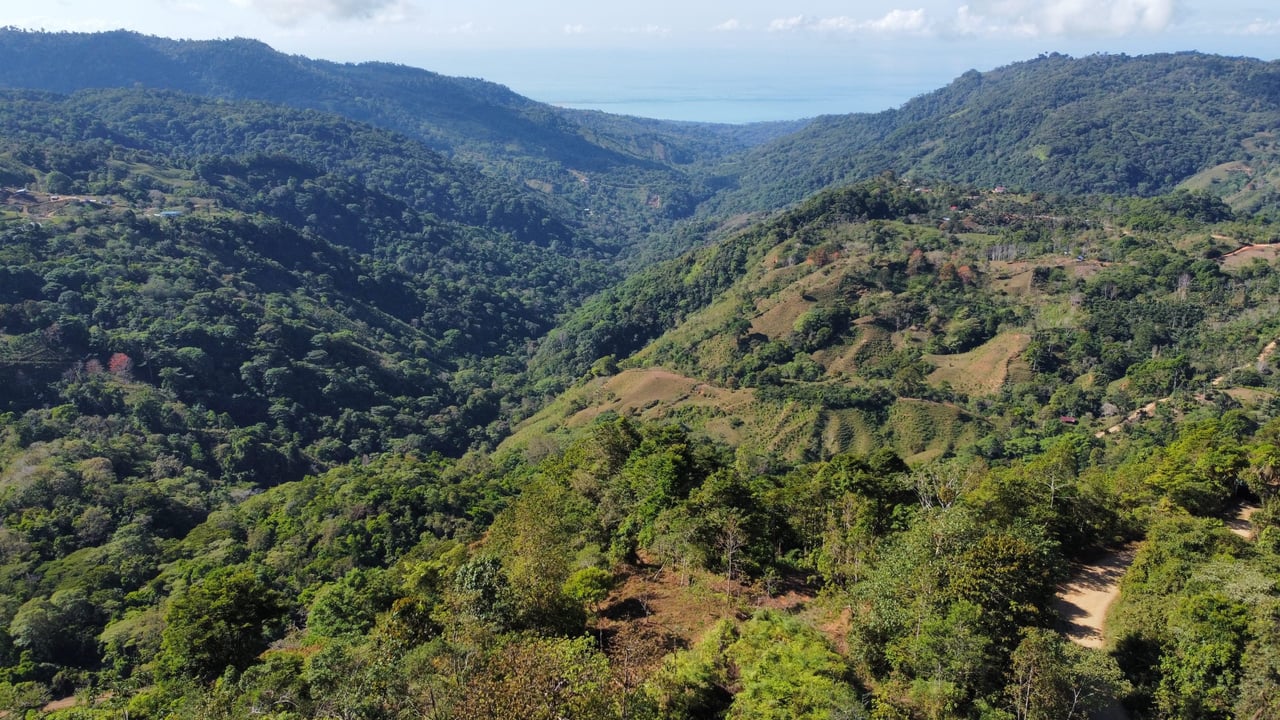 Whale Tail, Ocean & Mountain View lot in San Luis.