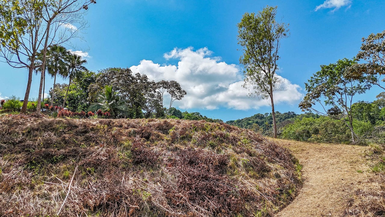An elevated 1.2 acres lot with two plantels, panoramic mountain and jungle views.