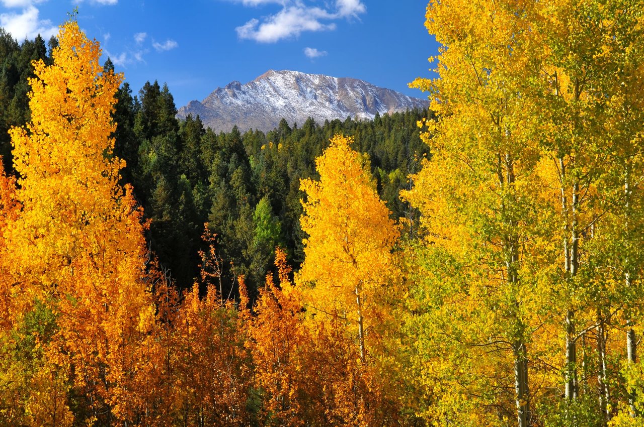 Snowmass/Old Snowmass