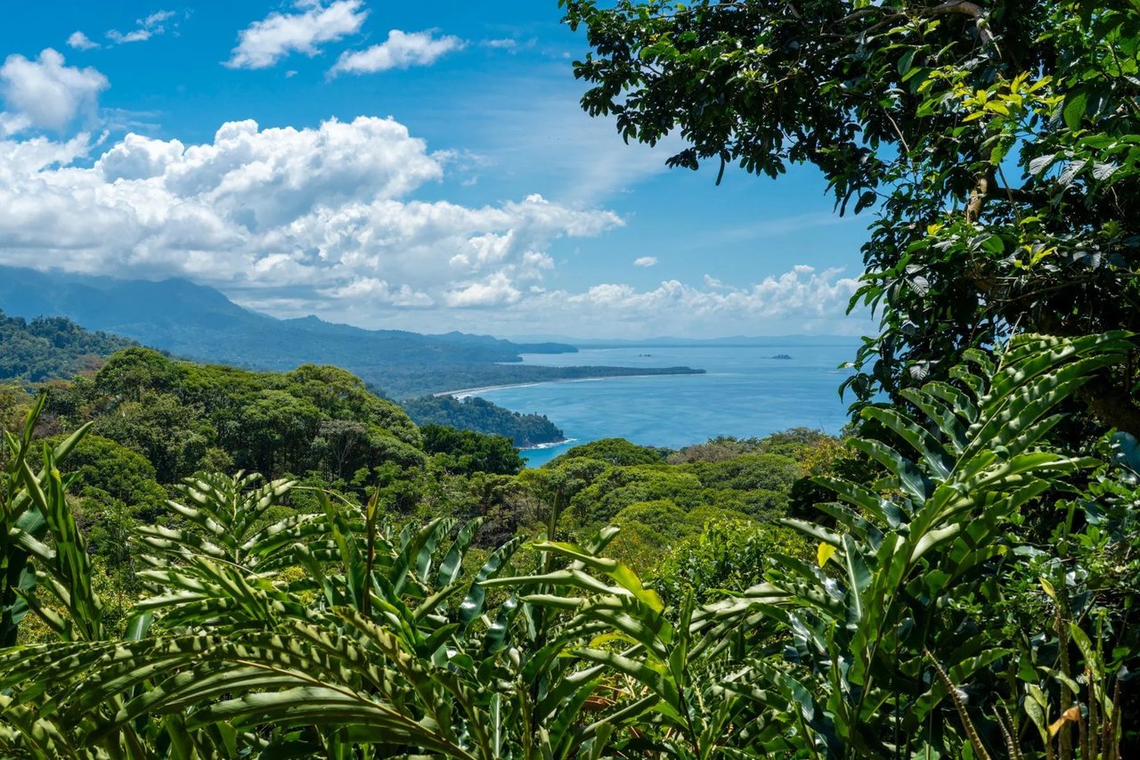 Private Oceanview Jungle Estate, Dominical, Puntarenas