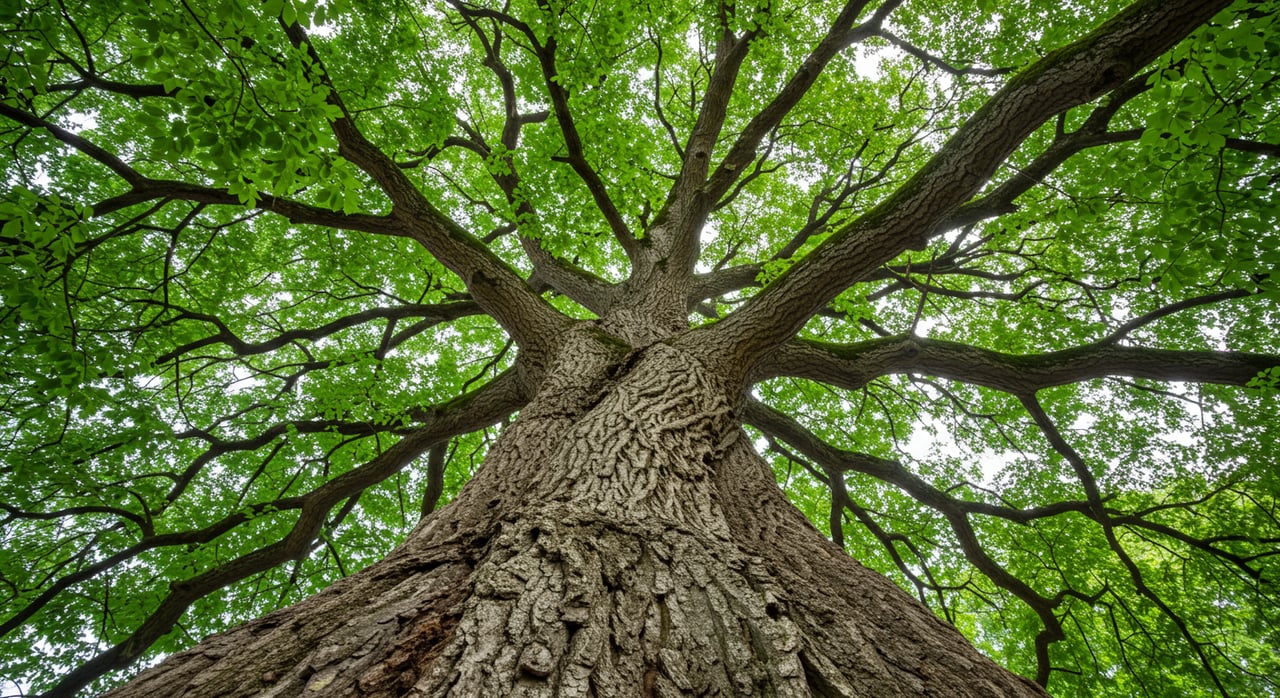 Celebrate Earth Day - 8 Ways to Save Energy At Home