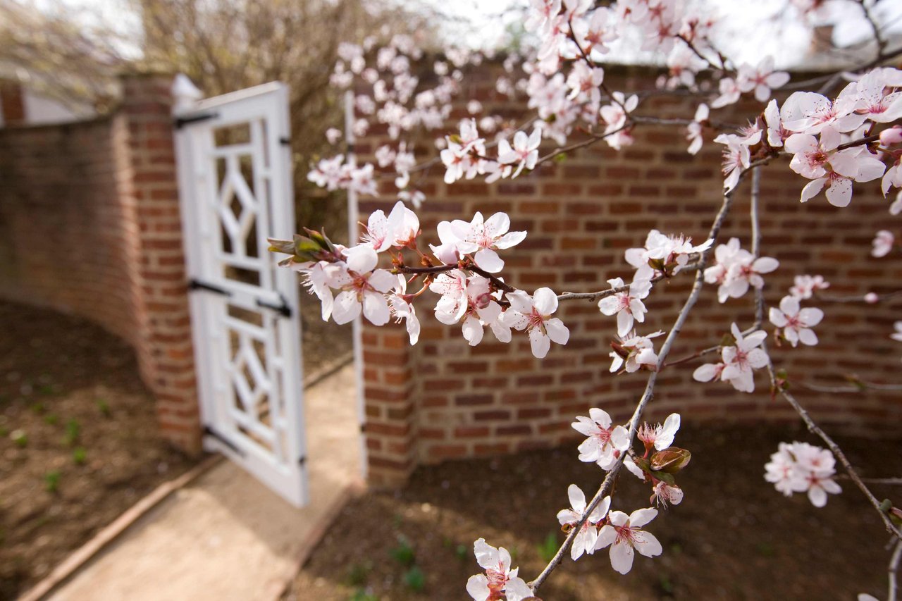 Your Perfect Day in Charlottesville – Morning