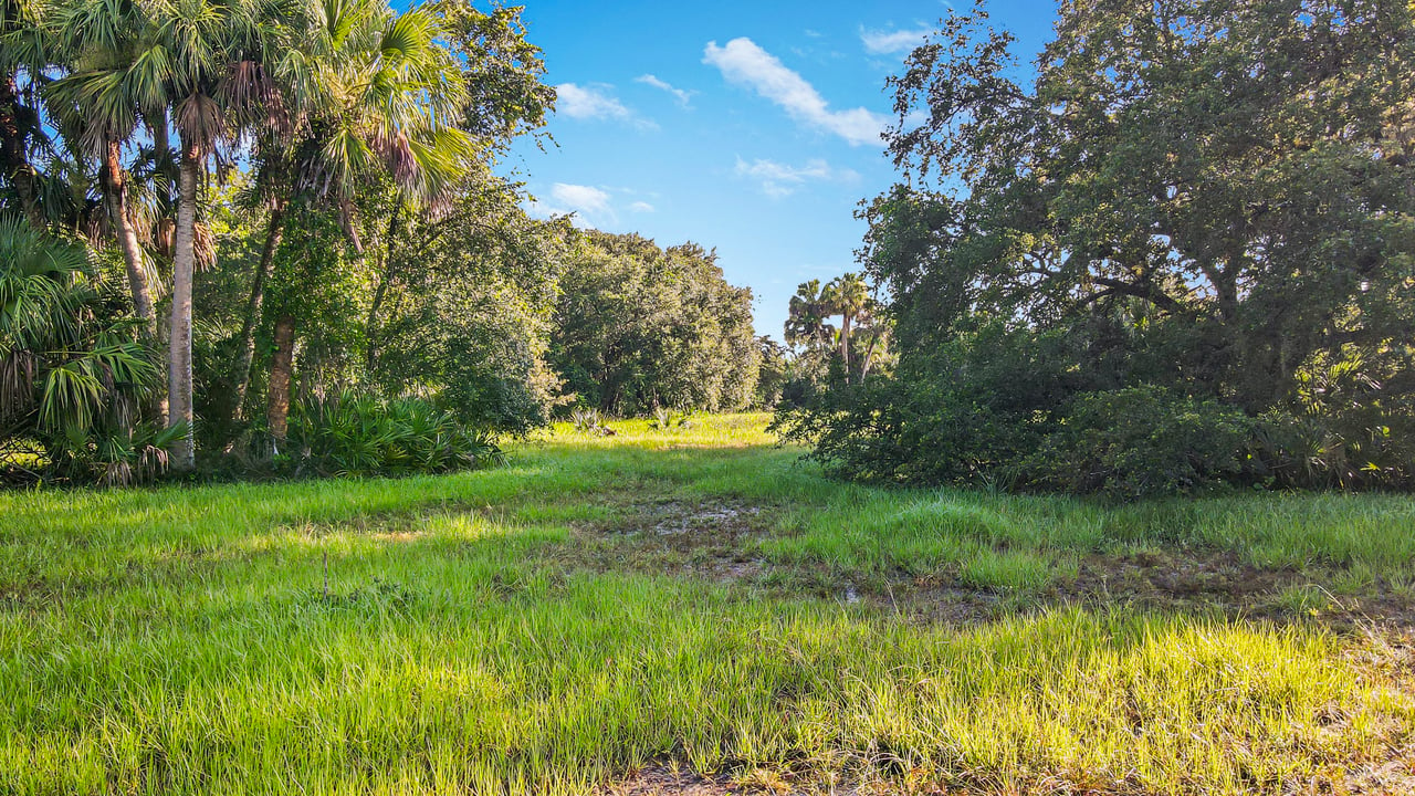 Bluefield Ranch