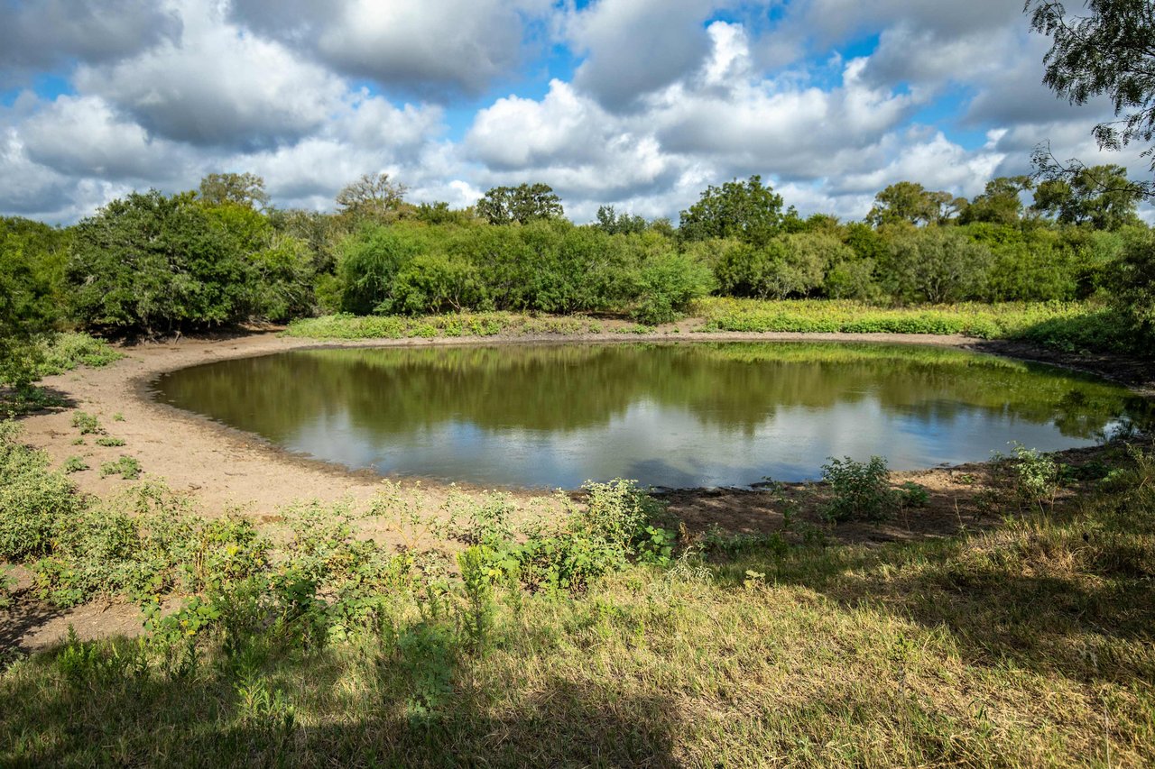The Poco Loco | 278± Acres | DeWitt County