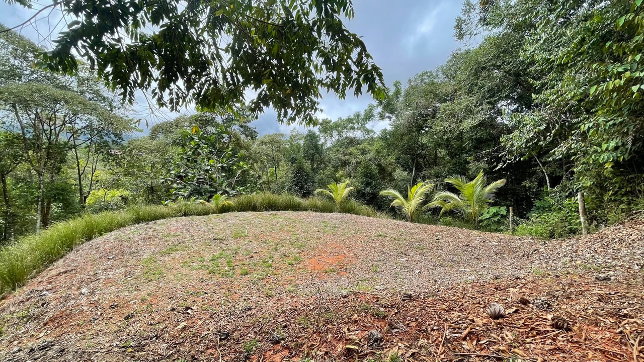 Half Acre Lot in Platanillo, Minutes to the beach of Dominical