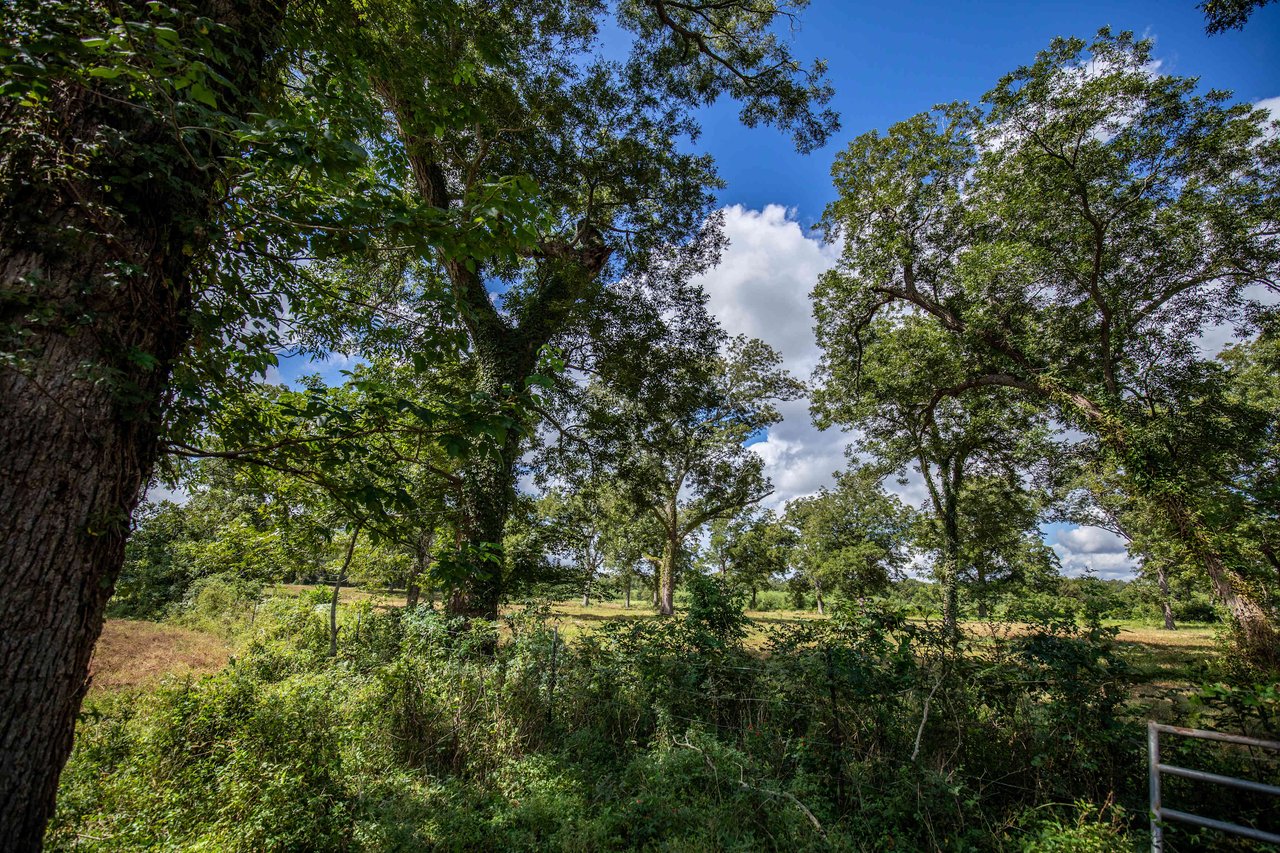 Lovers Lane River Ranch | 140± Acres | DeWitt County