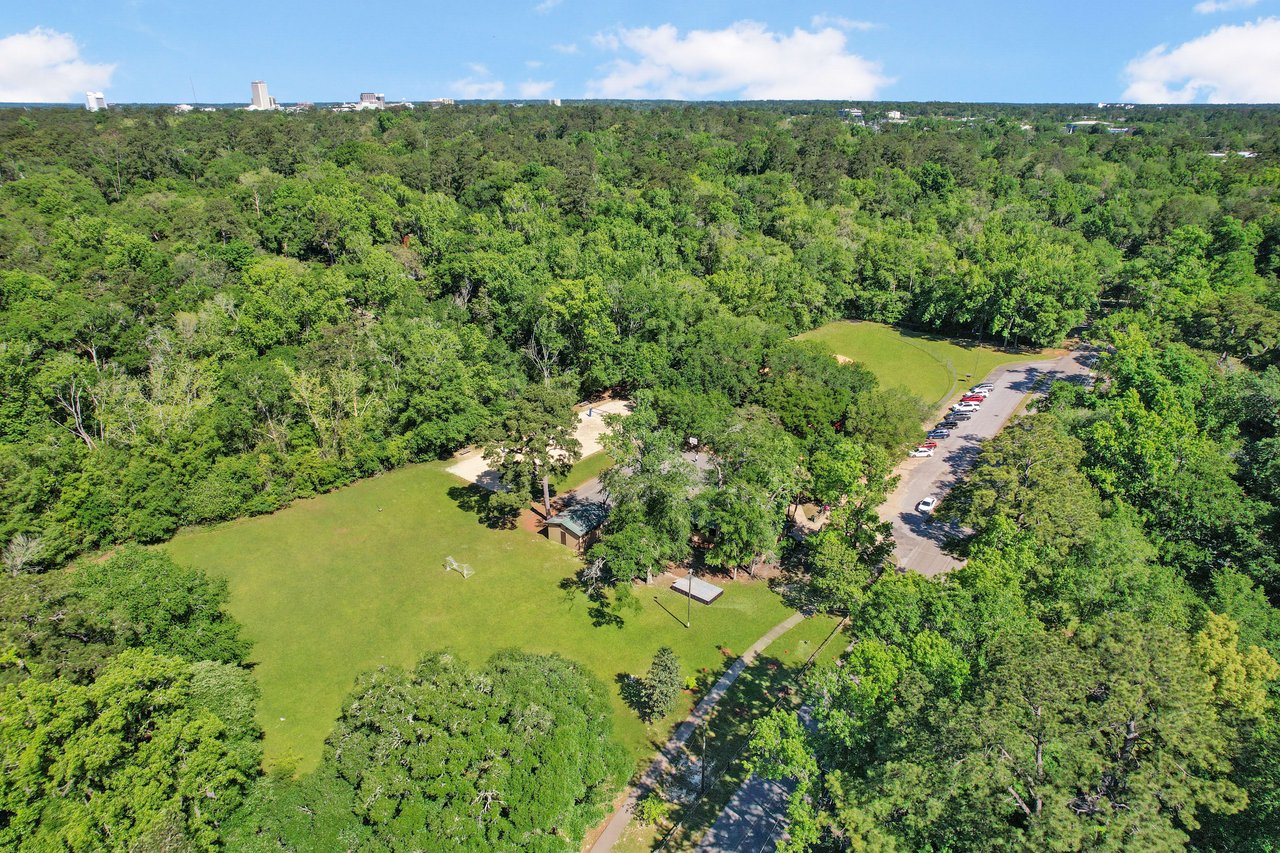 An aerial view of a different part of the Indian Head neighborhood, highlighting open spaces and tree cover.