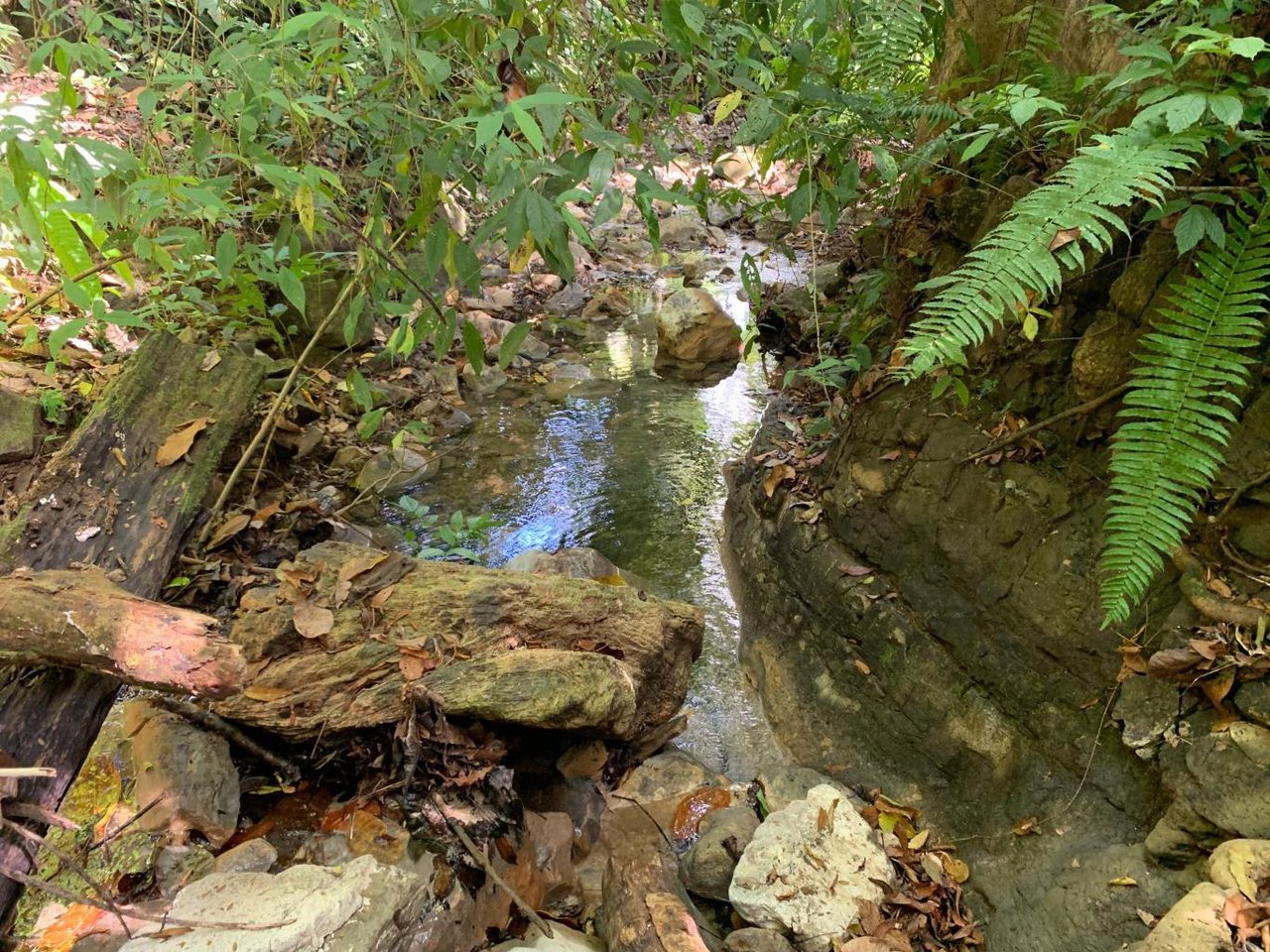 Prime 286-Acre Ocean View Property for Sale Near Quepos, Costa Rica – Ideal for Development