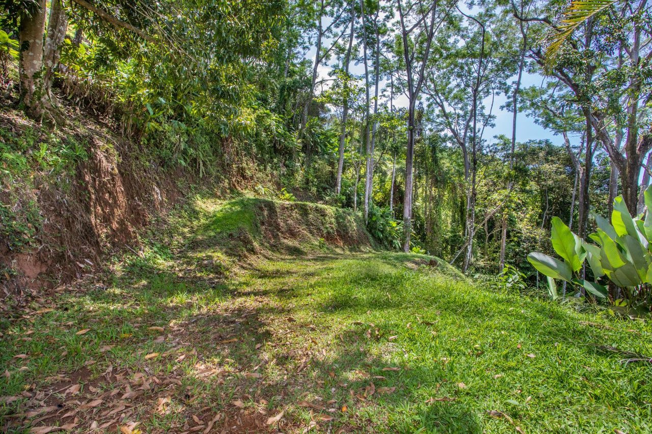 Incredible 7,000 Ft2 Ocean View Home With 200 Acre Reserve!