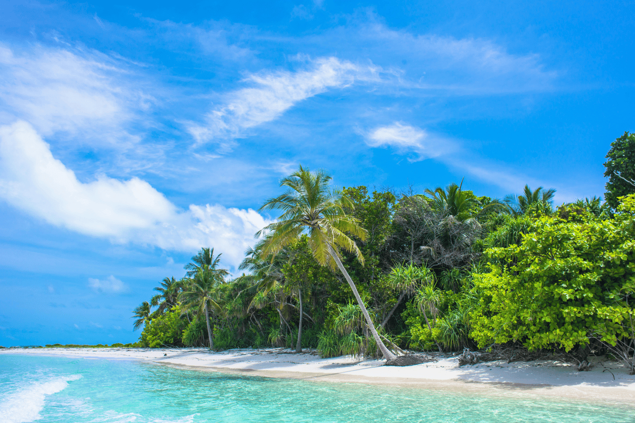 Exclusive Island for Sale: Private Paradise in French Polynesia