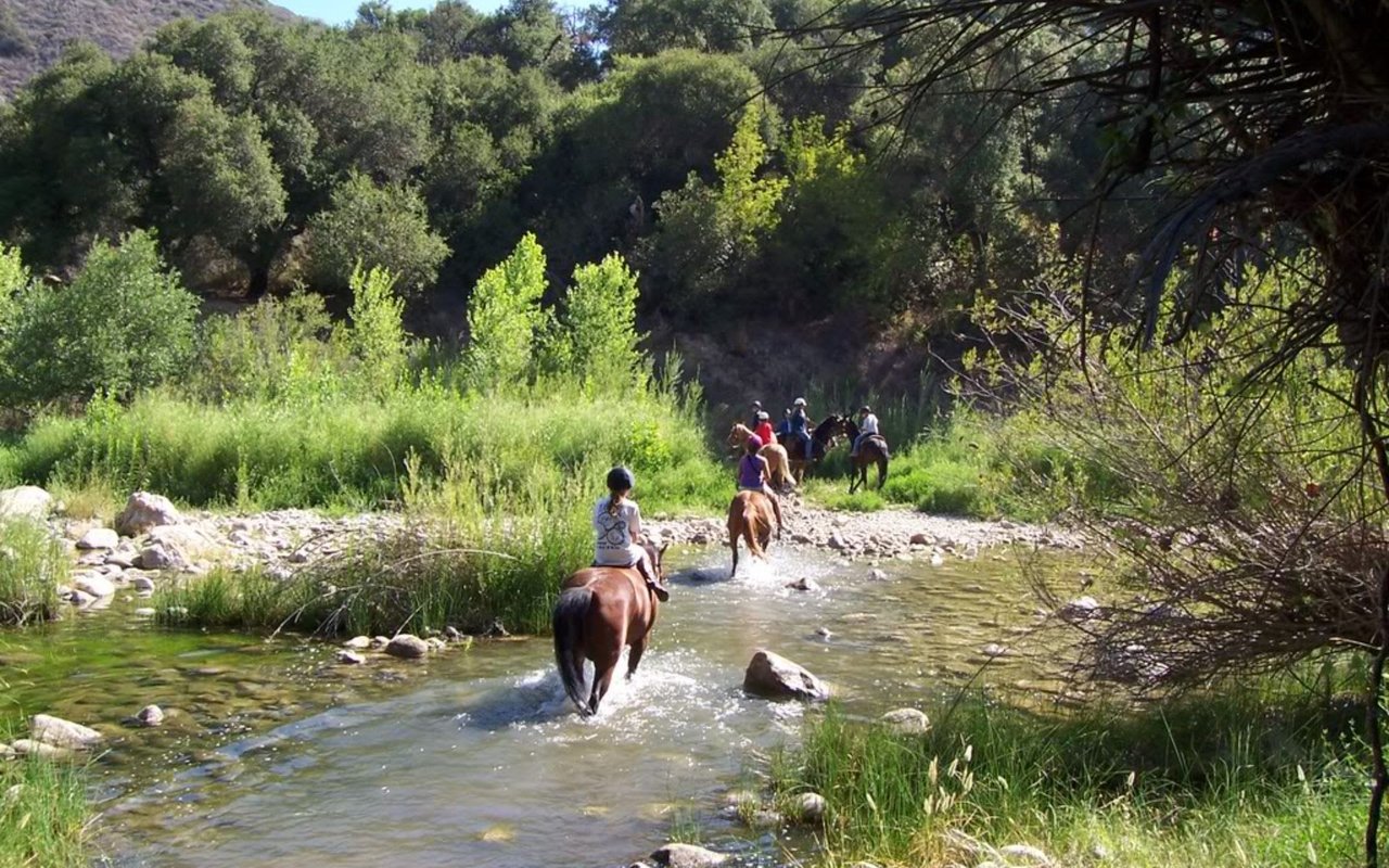 Santa Ynez