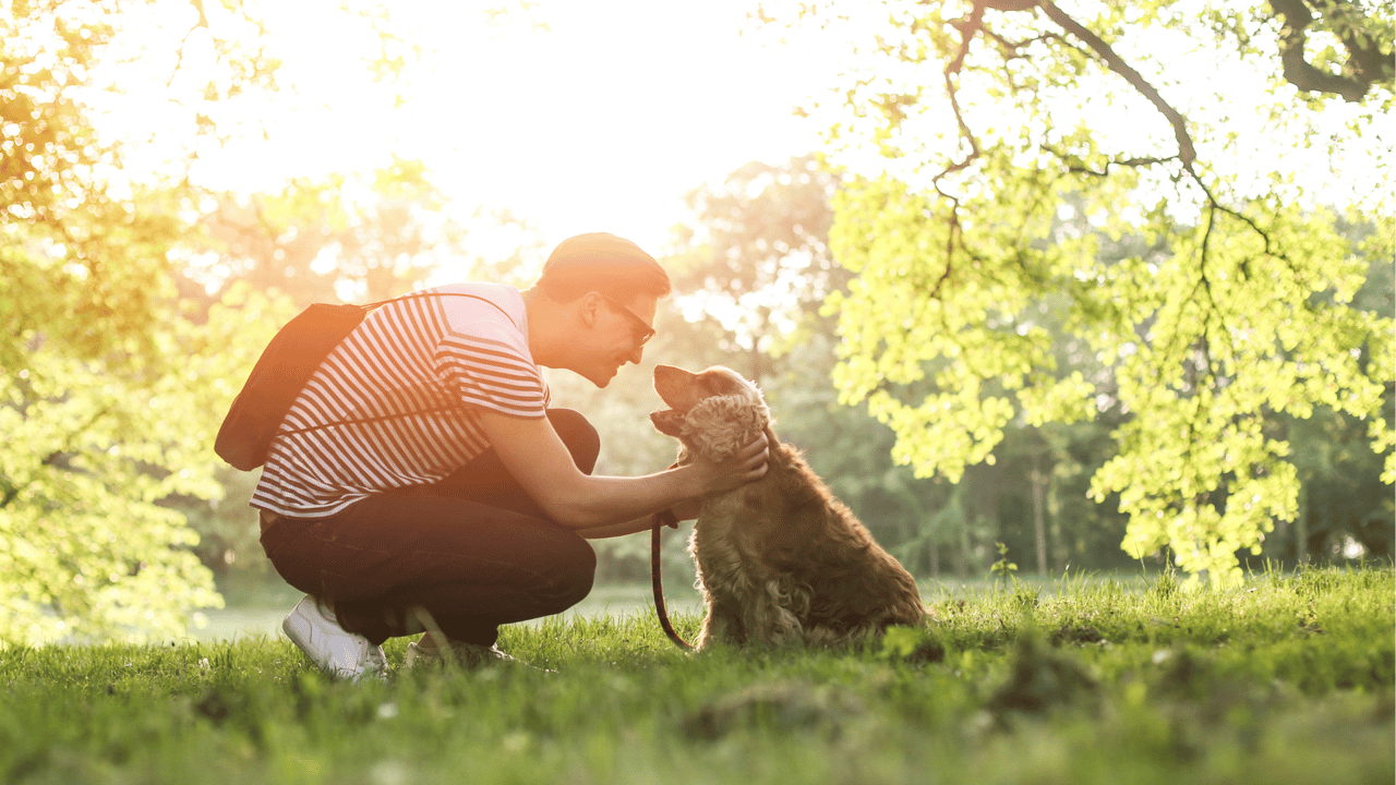 You Deserve the Best!