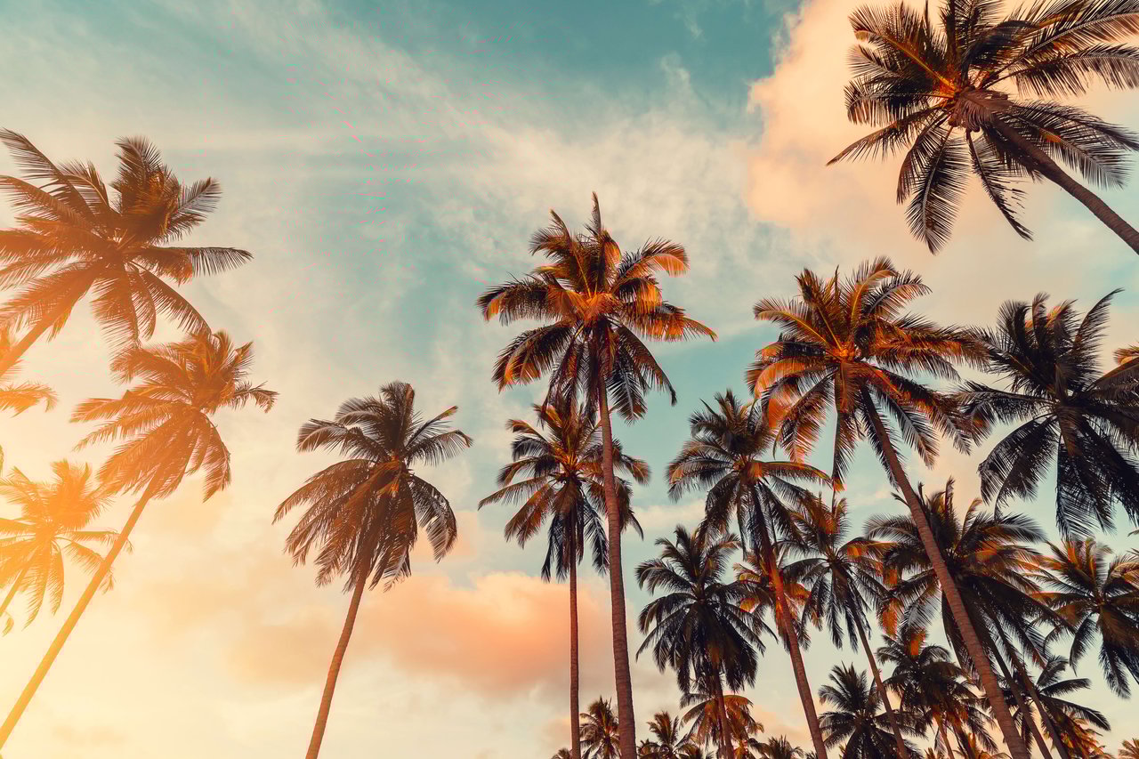 The 5 Best Cities to Buy or Rent Near Santa Ana, California