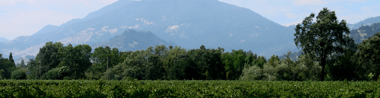 Napa Valley Winery, Hospitality & Lodging Development Site 