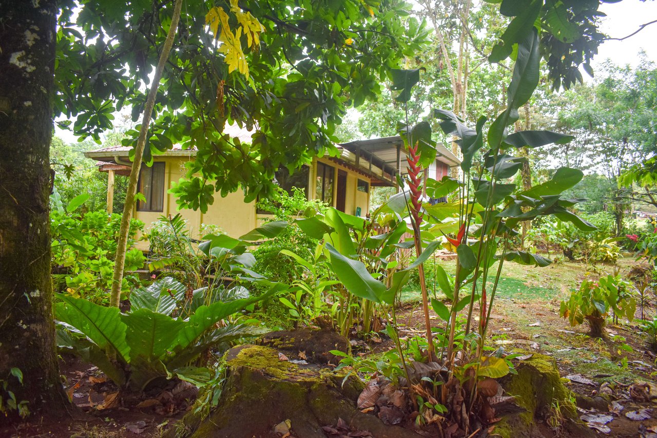 Casa Colibri with two small apartments | Bordered by the Bijagua River and Bijagua Creek.