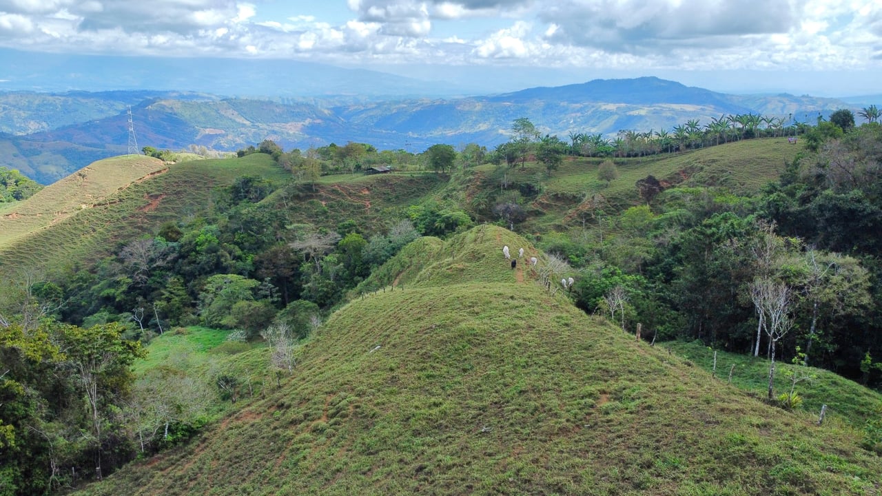 OVER 14 ACRES FARM IN ALTO DE GUADALUPE