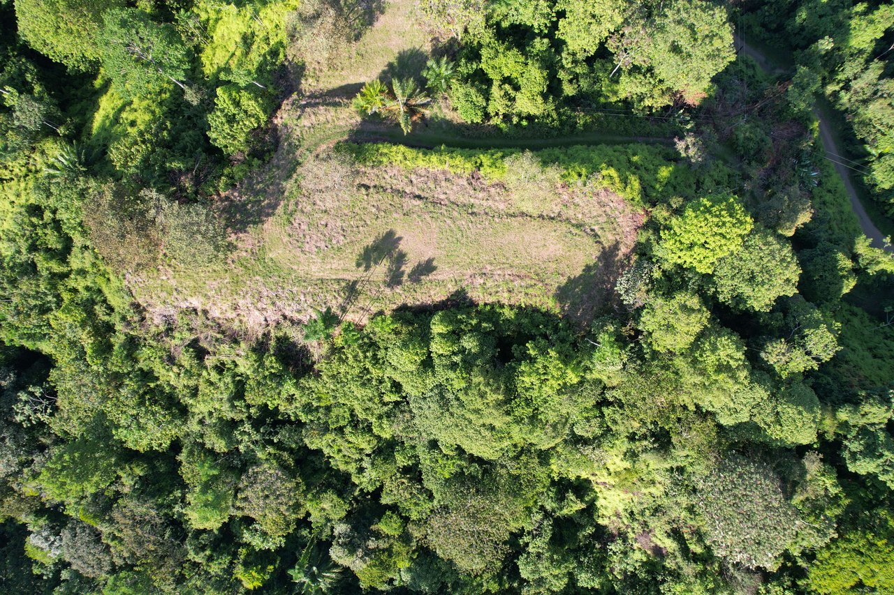 3.41 Acres, Ocean View Property In Finca Maranon With Legal Water! Ojochal 