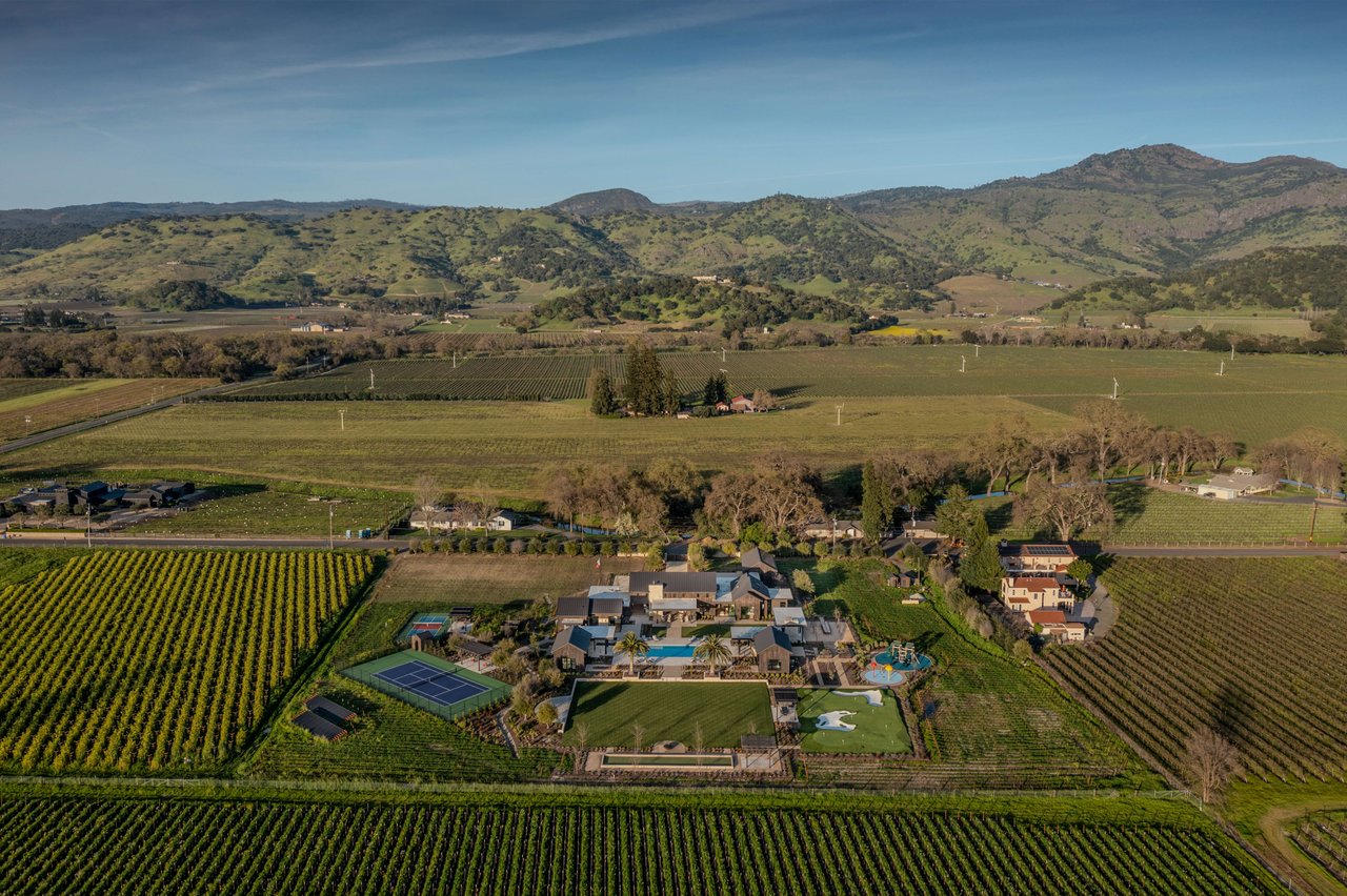 Yountville Vineyard View, Yountville