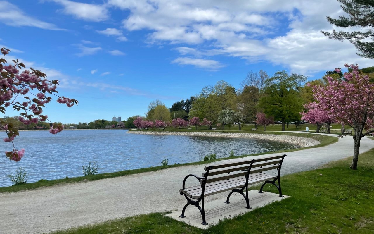 Brookline