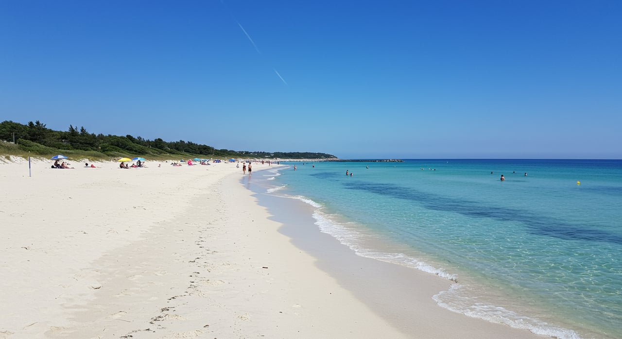 Top 7 Beaches on Anna Maria Island