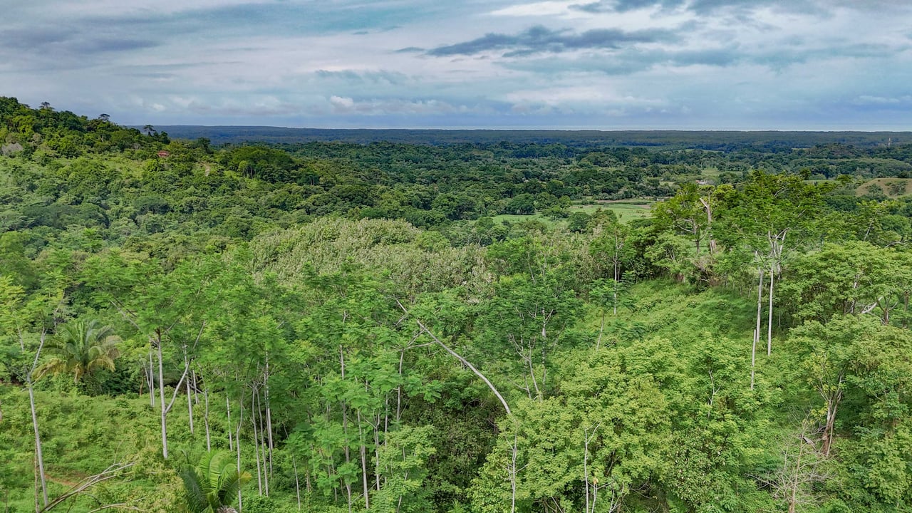 177 acre Ocean view property with multiple plantels, unspoiled mountain, jungle, river and waterfall areas