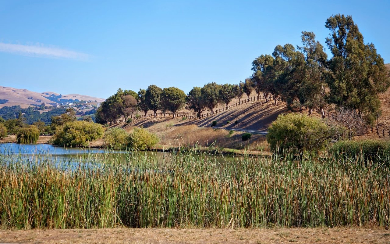 SANTA YNEZ VALLEY