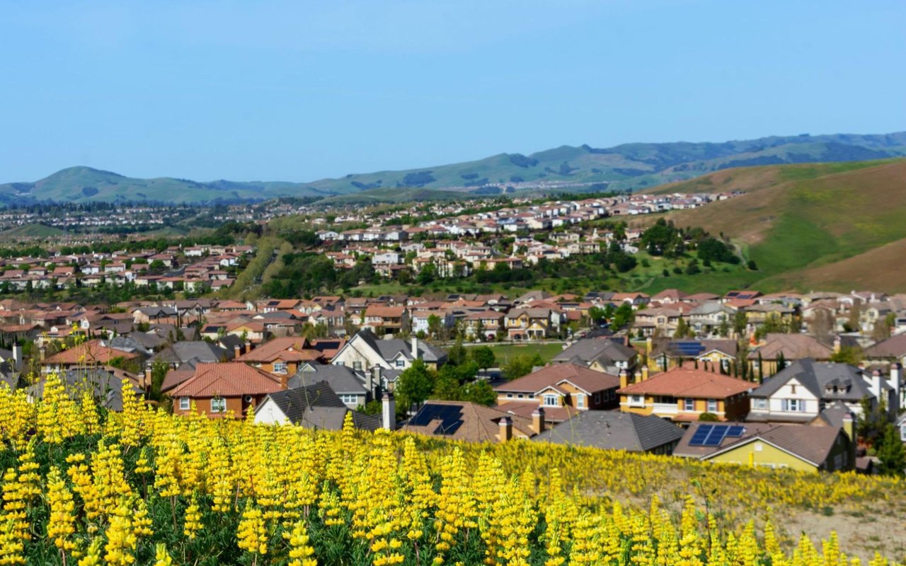 What is the Real Cost of Living in San Ramon?