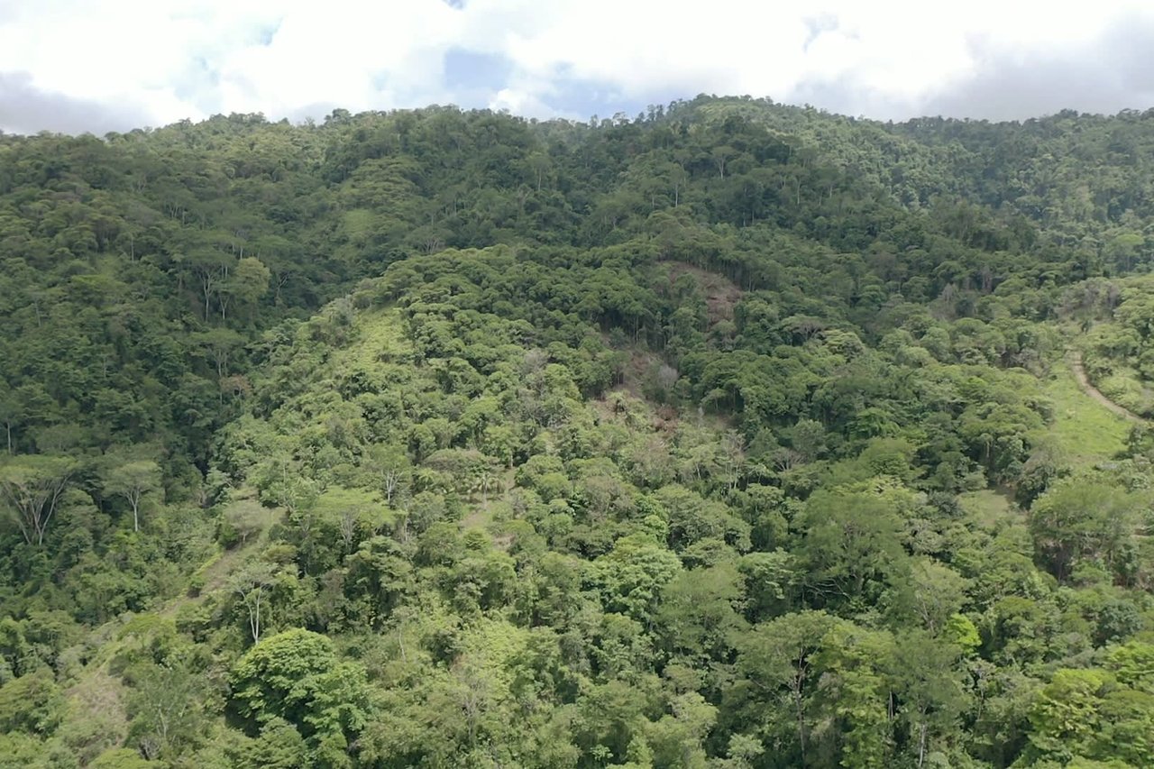 42 Acres With Waterfalls, Ocean Views & Multiple Building Sites Sliencio Ariba