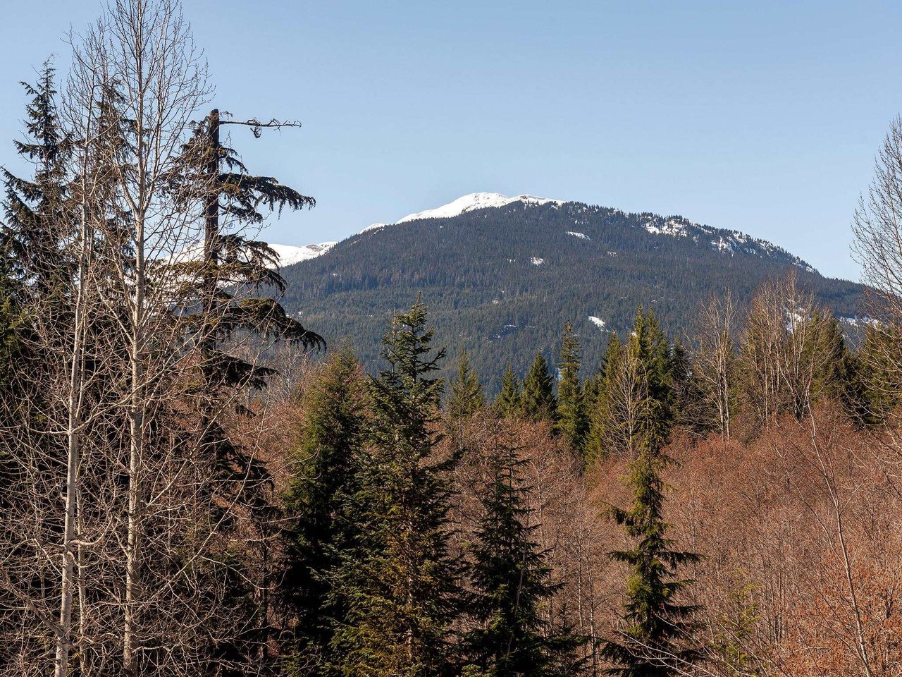 264-4591 Blackcomb Wy