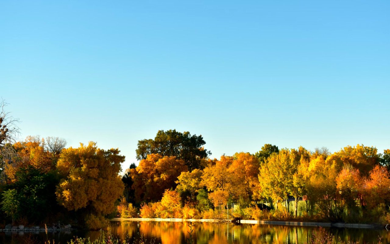 Discovering the Charms of Lakewood, CO: A Place to Call Home