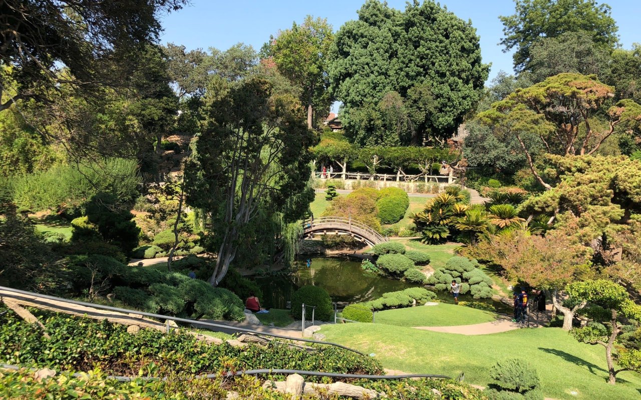 A wooden bridge over a meandering stream in a park. The bridge has a low, curved arch and a wooden balustrade.