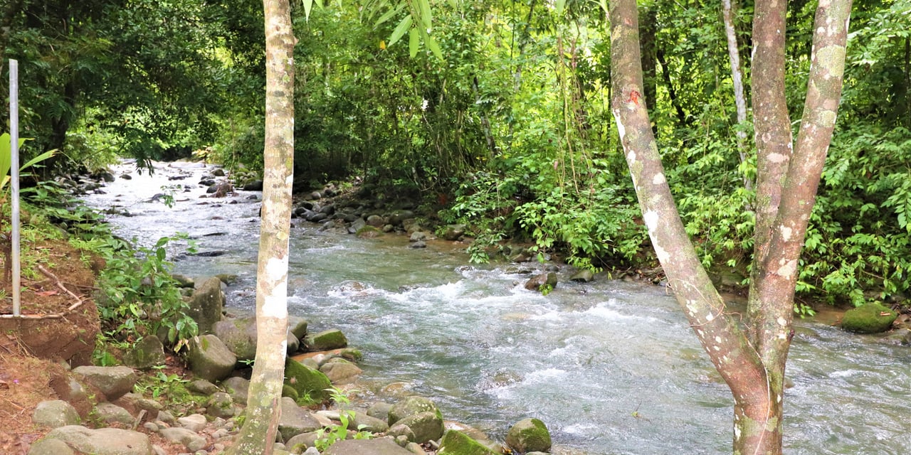 Riverfront Boutique Jungle Hotel, Ojochal, Puntarenas