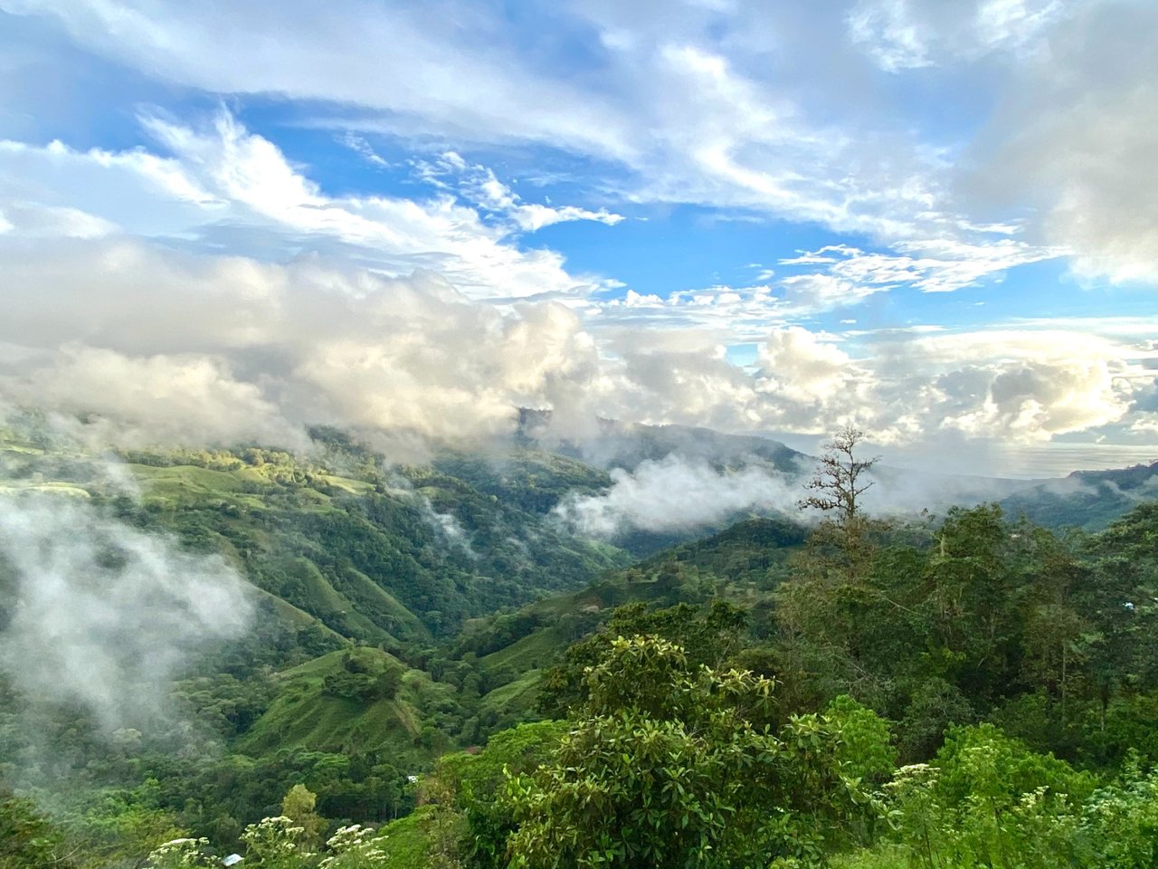 Whale Tail View Development Parcel, Uvita, Puntarenas