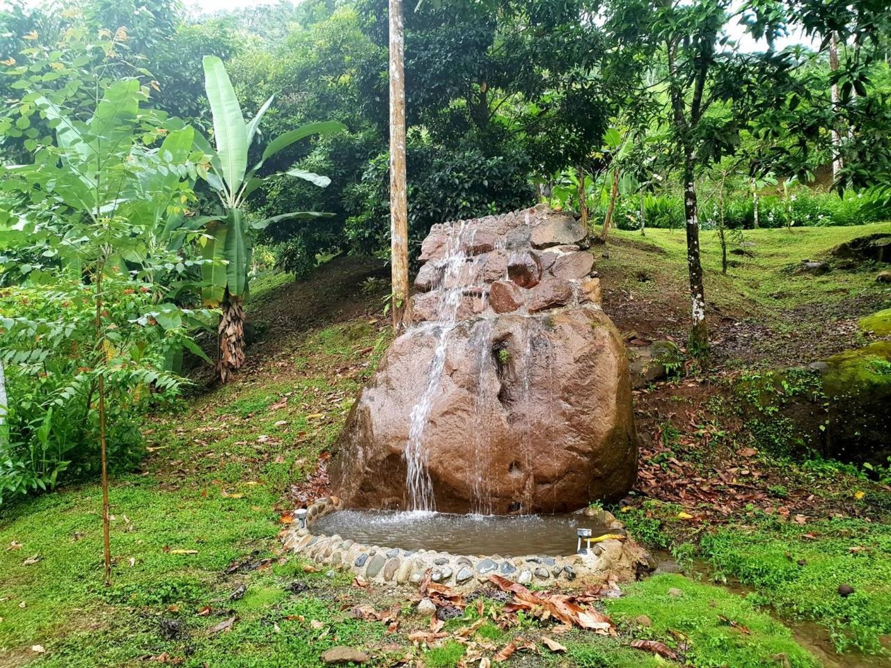Mountain View Wellness Retreat, Perez Zeledon, San Jose