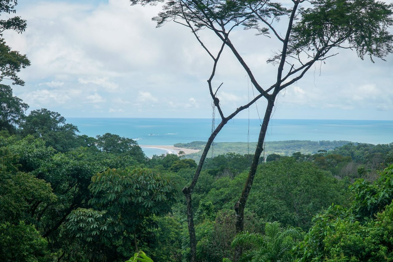 Casa Selva Sustainable Living 