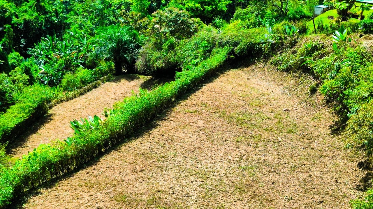 Flat Buildable Ocean View Lot, Ojochal, Puntarenas