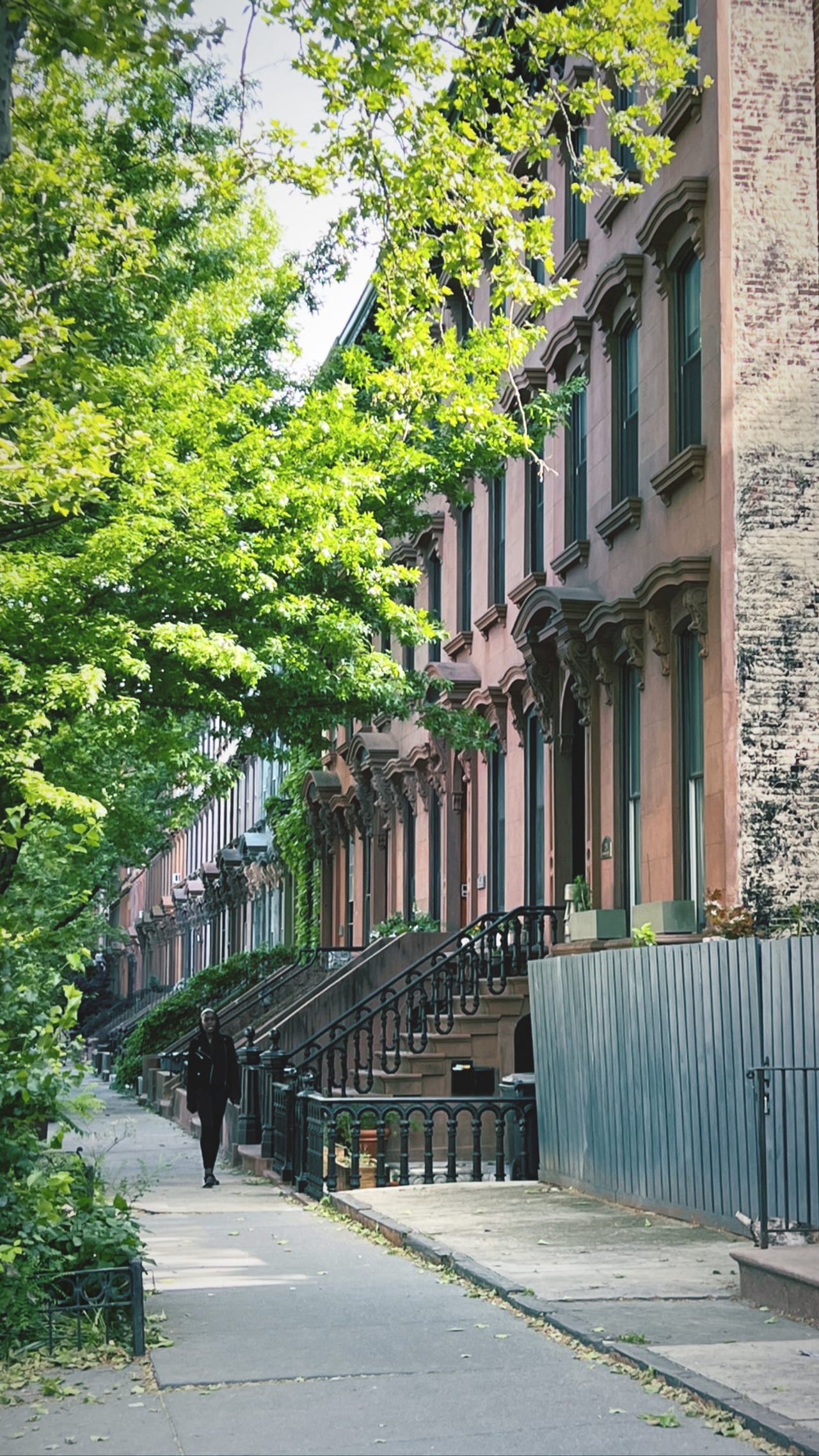 Exploring NYC
