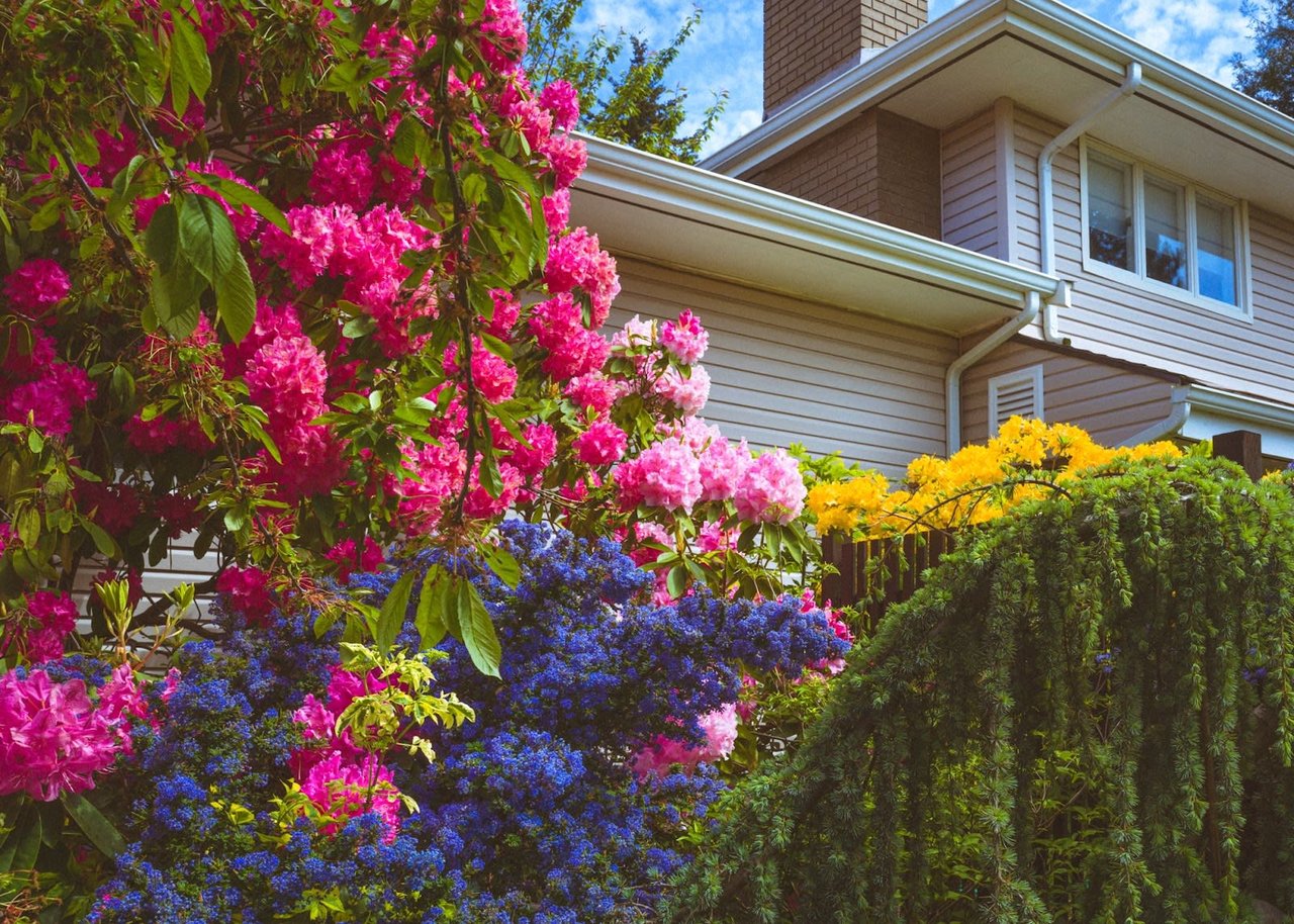 The Role of Landscaping in Boosting Your Home's Aesthetic Appeal