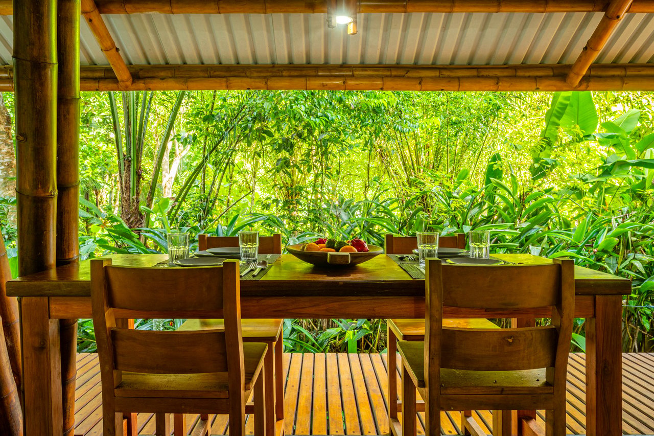 Off Grid Beachfront Bamboo Estate, Osa, Puntarenas