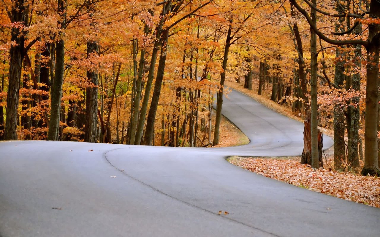 Best Places to See Fall Foliage in Indiana