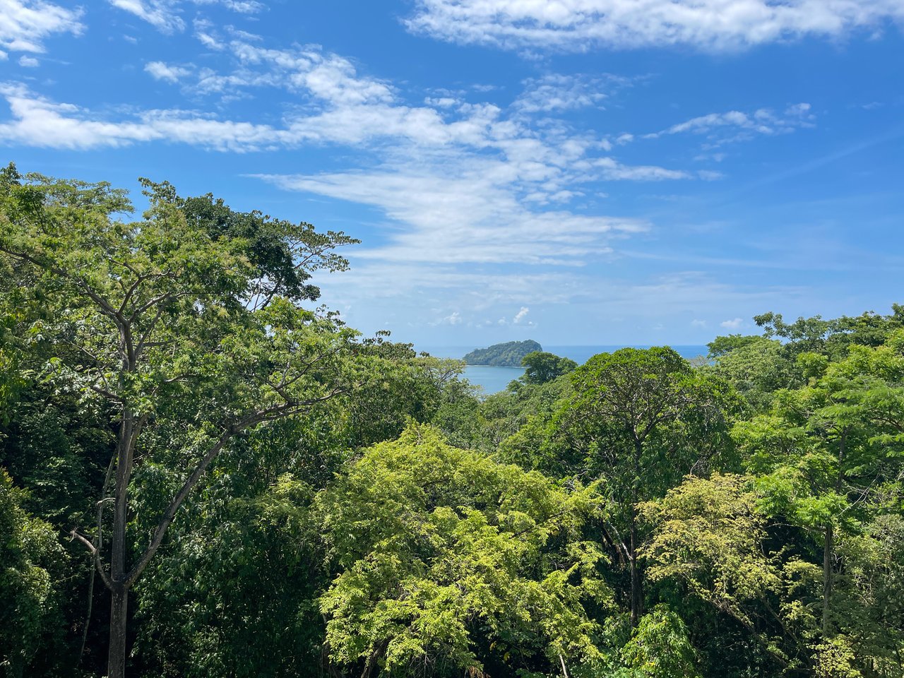 Ocean View Jungle Multi Family, Manuel Antonio, Puntarenas