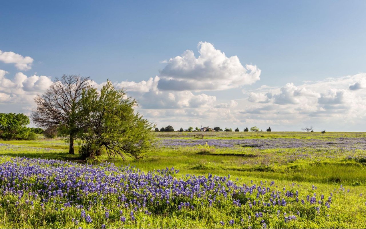 Spicewood's Hidden Gems: The Definitive Guide to Land for Sale