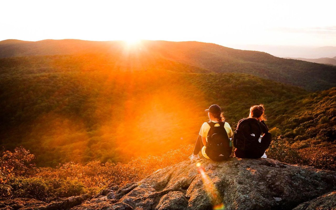 The Serene Beauty of La Crescenta's Nature Trails