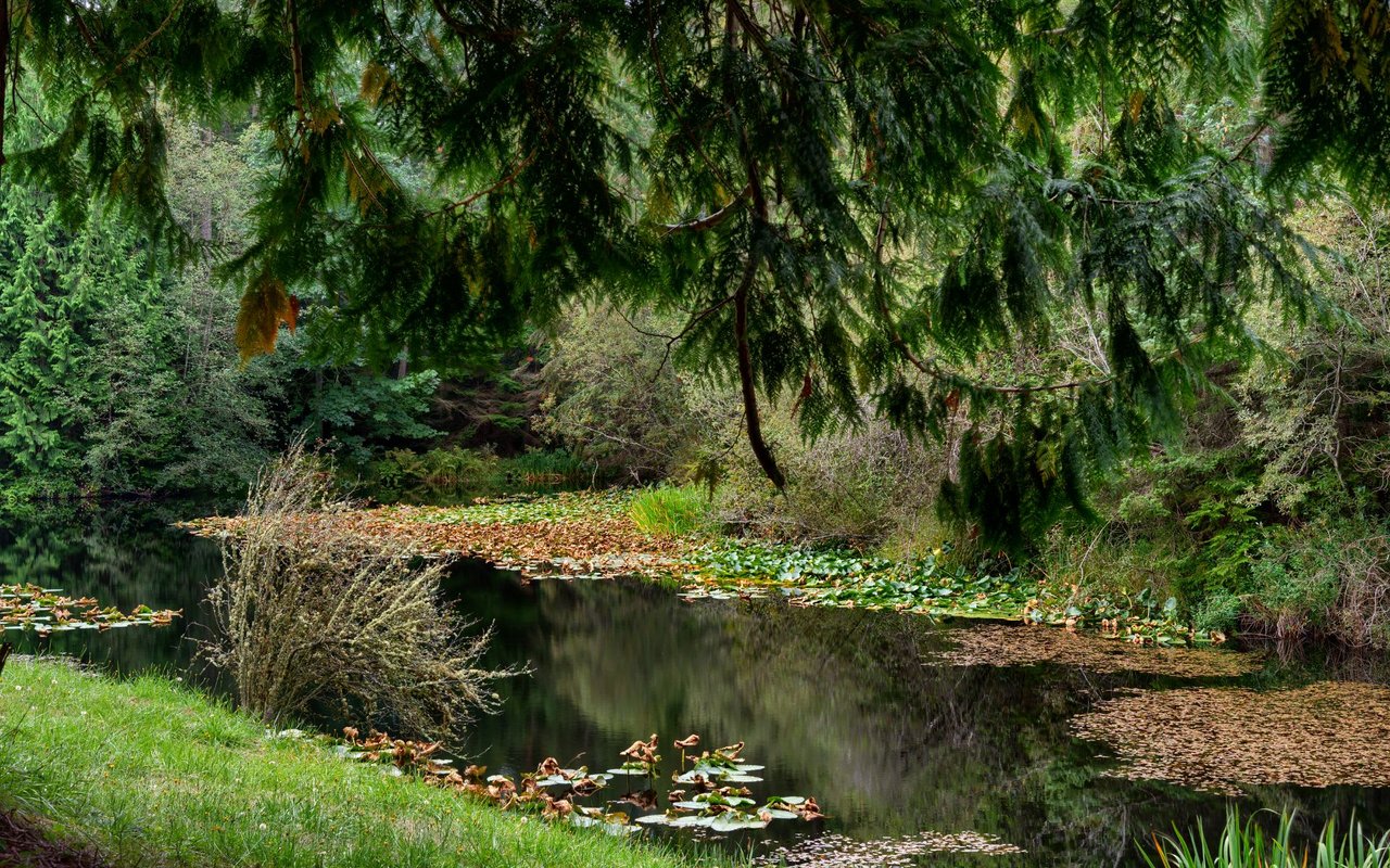 Anacortes Real Estate - Reasons to Love Anacortes - Guemes Trail