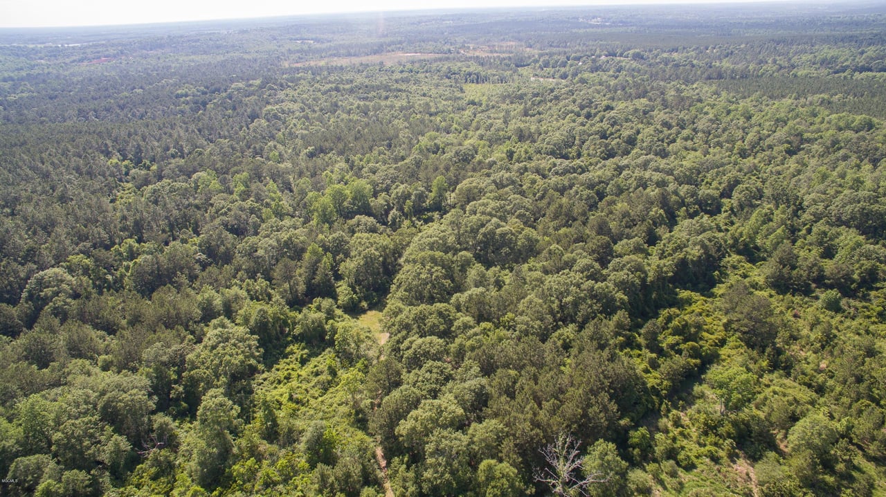 32331 Carey Smith Rd