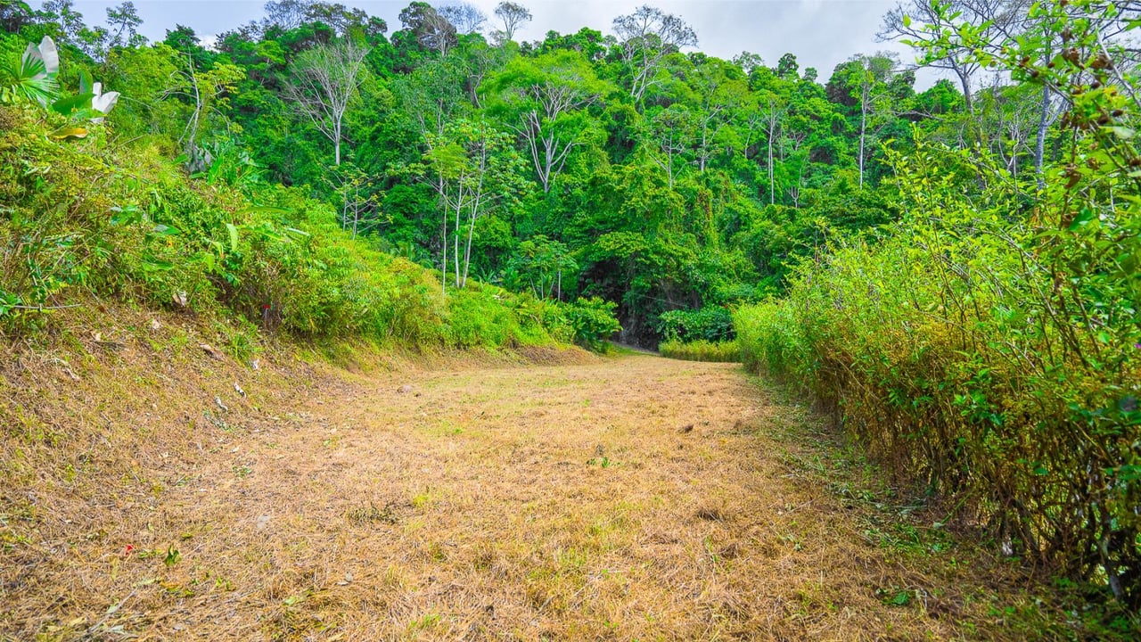 Flat Buildable Ocean View Lot, Ojochal, Puntarenas