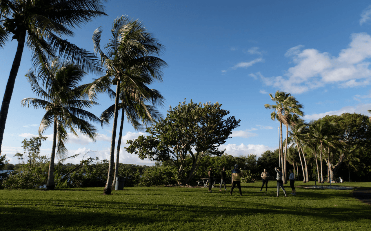 A Guide to Coconut Grove Parks