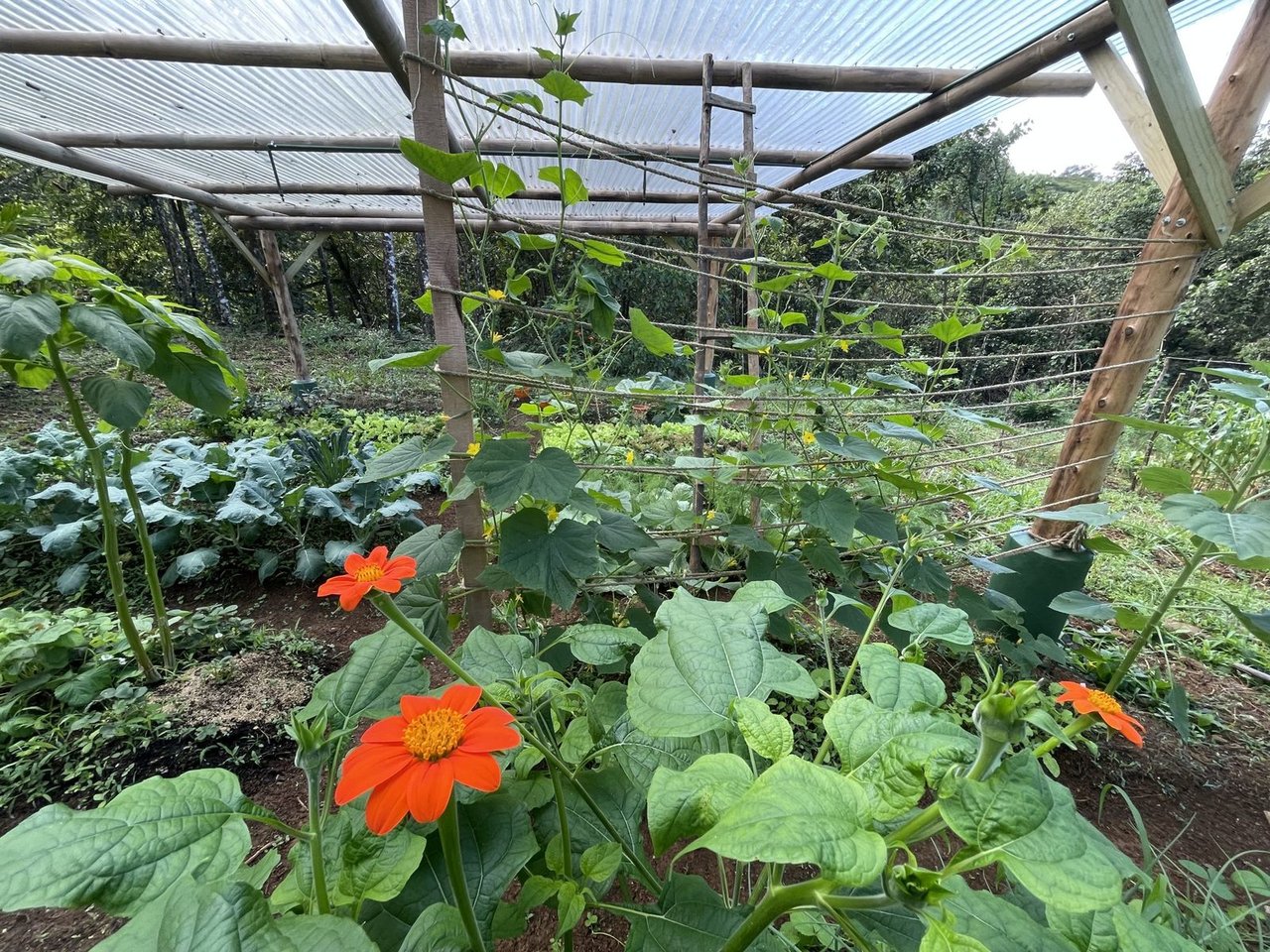 Riverfront Permaculture Farm, Perez Zeledon, San Jose